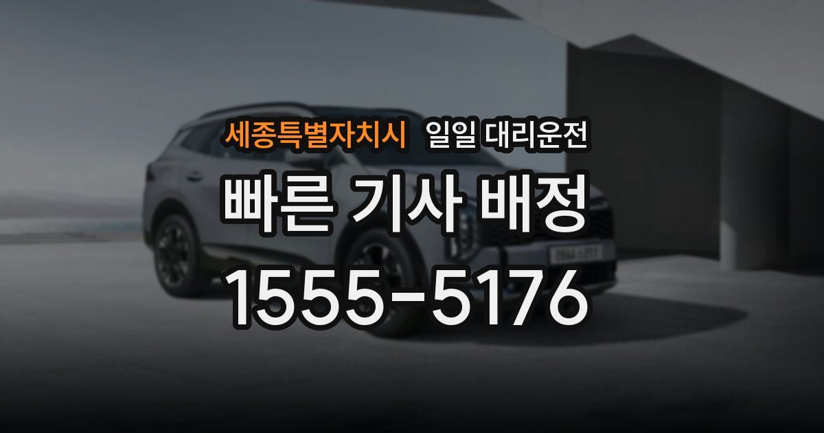 세종특별자치시 일일 대리운전