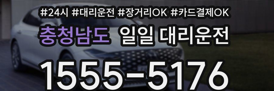 충청남도 일일 대리운전