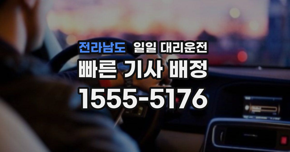 전라남도 일일 대리운전