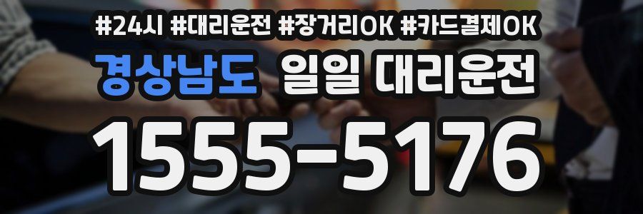 경상남도 일일 대리운전