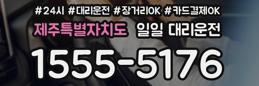 제주특별자치도 일일 대리운전