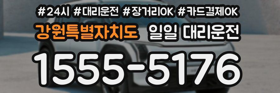 강원특별자치도 일일 대리운전