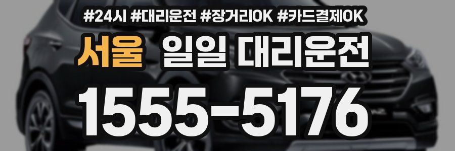 서울 일일 대리운전