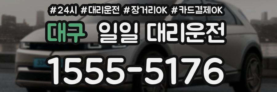 대구 일일 대리운전