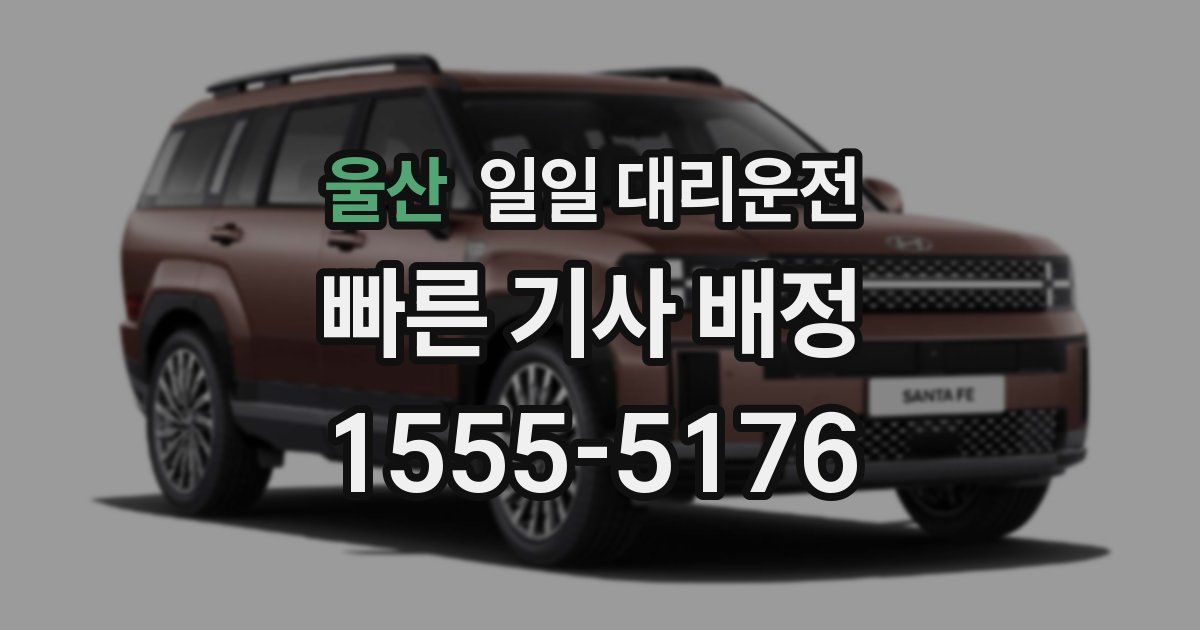 울산 일일 대리운전