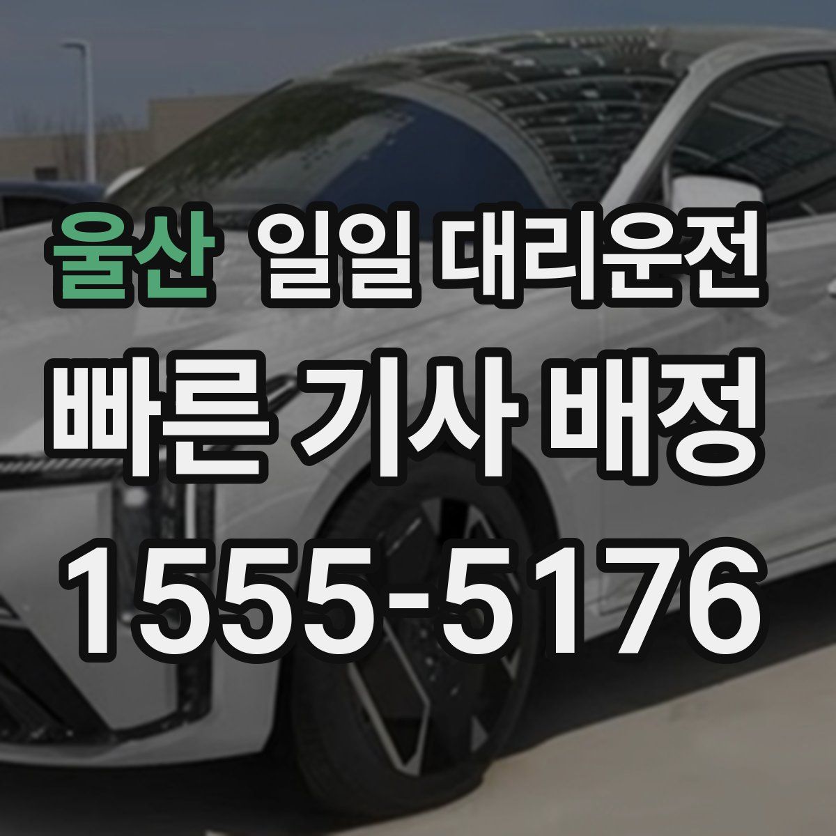 울산 일일 대리운전
