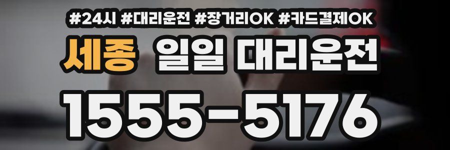 세종 일일 대리운전