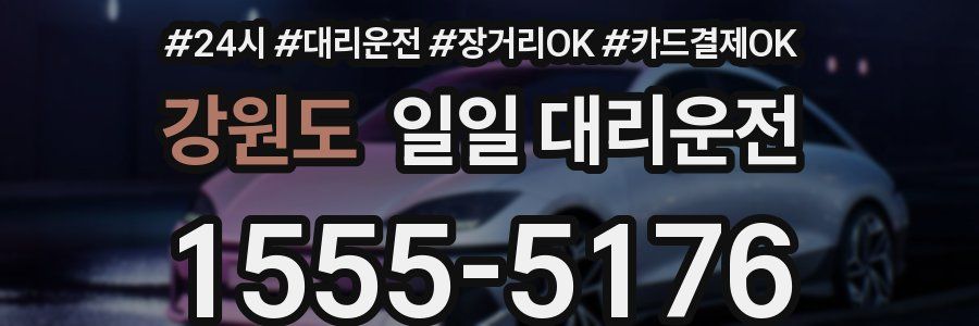 강원도 일일 대리운전