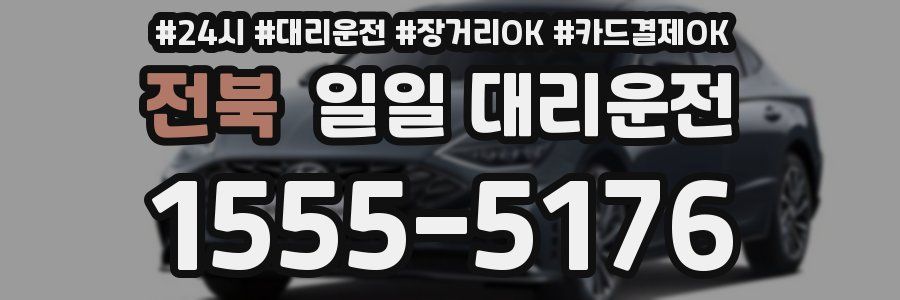 전북 일일 대리운전