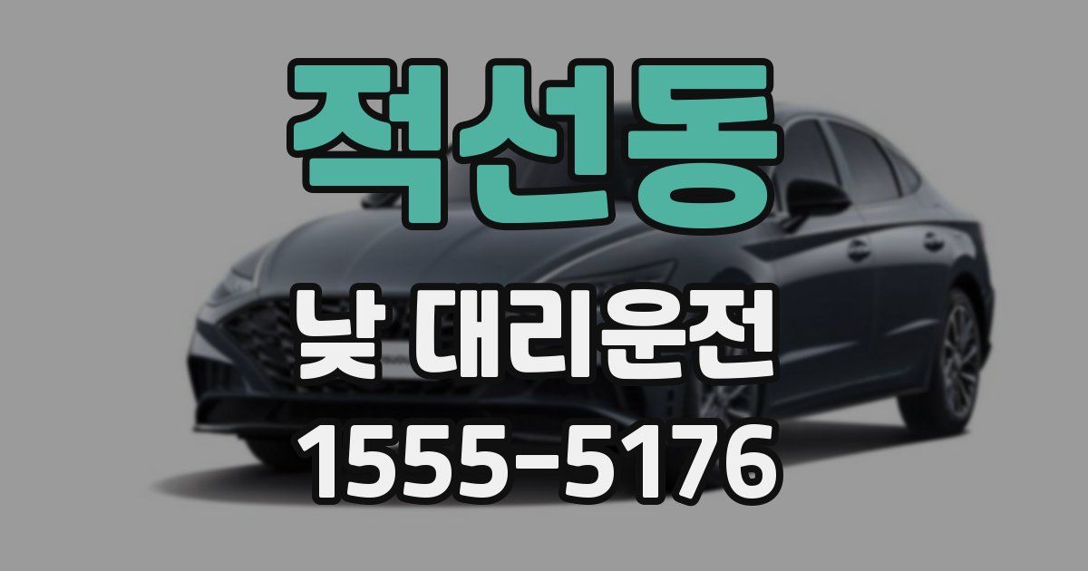 적선동 낮 대리운전
