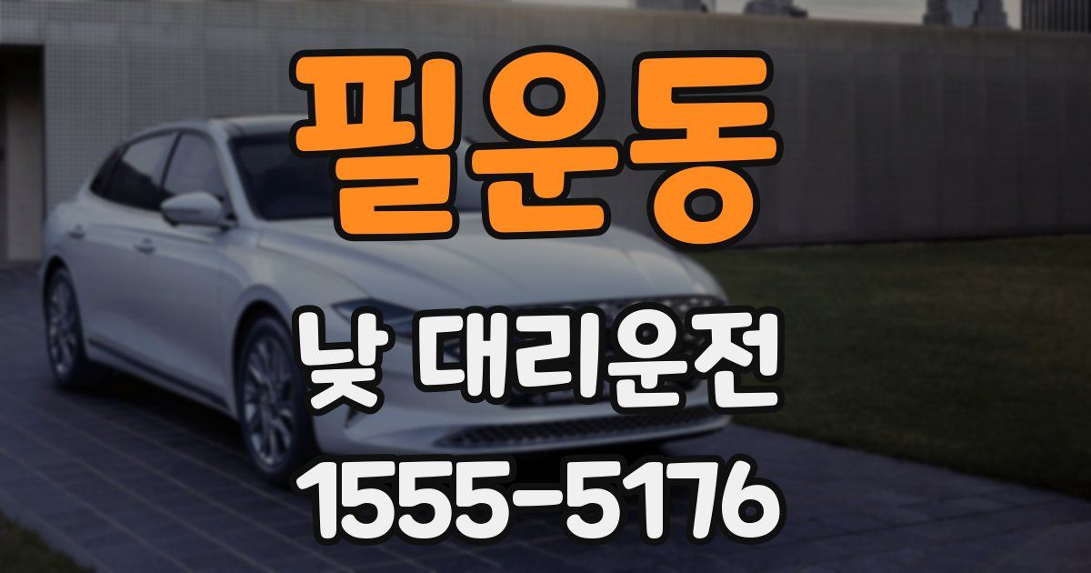필운동 낮 대리운전