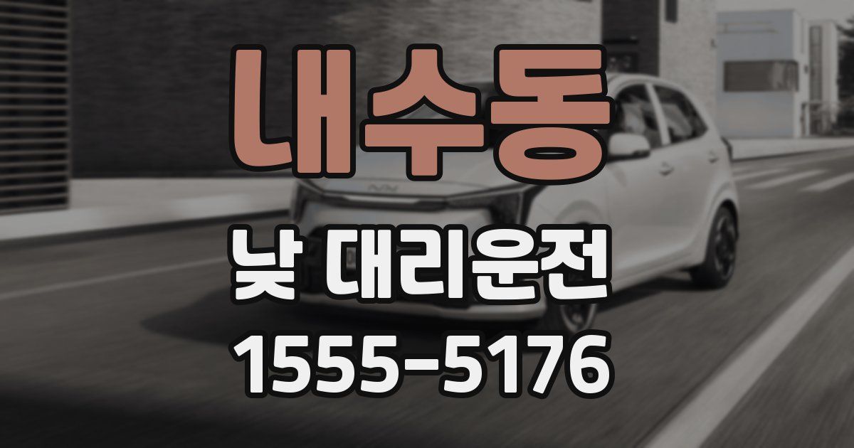 내수동 낮 대리운전
