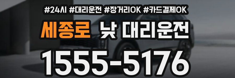세종로 낮 대리운전