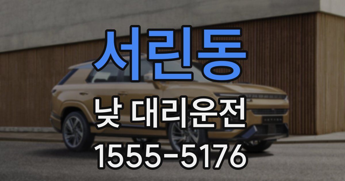 서린동 낮 대리운전