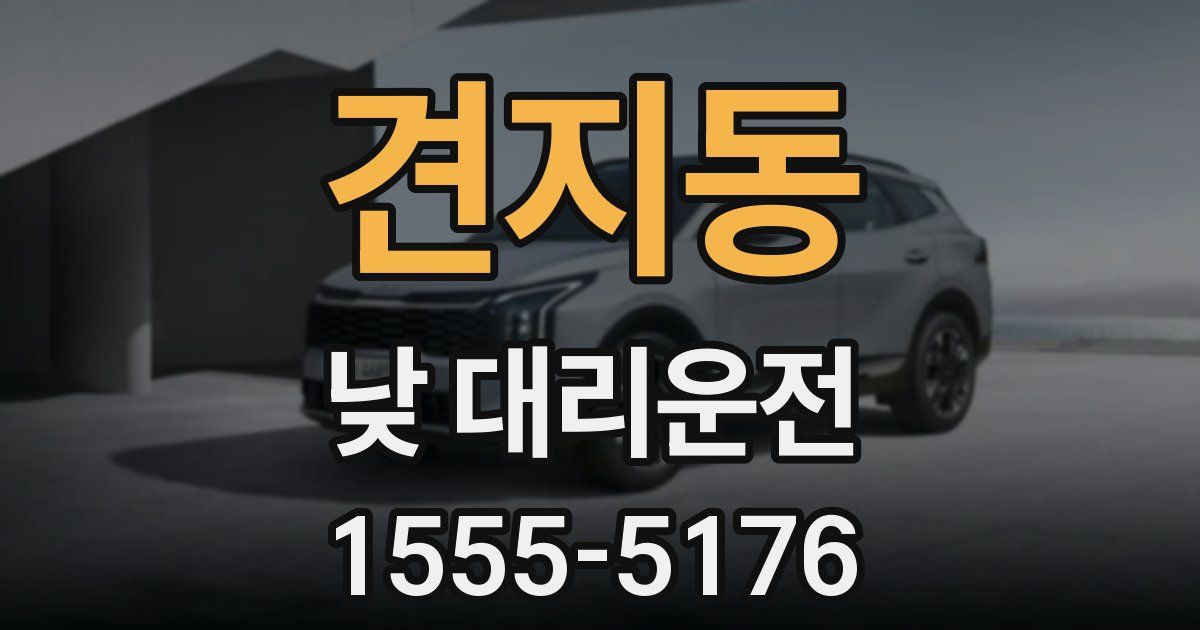 견지동 낮 대리운전