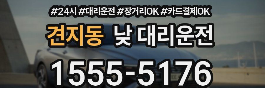 견지동 낮 대리운전