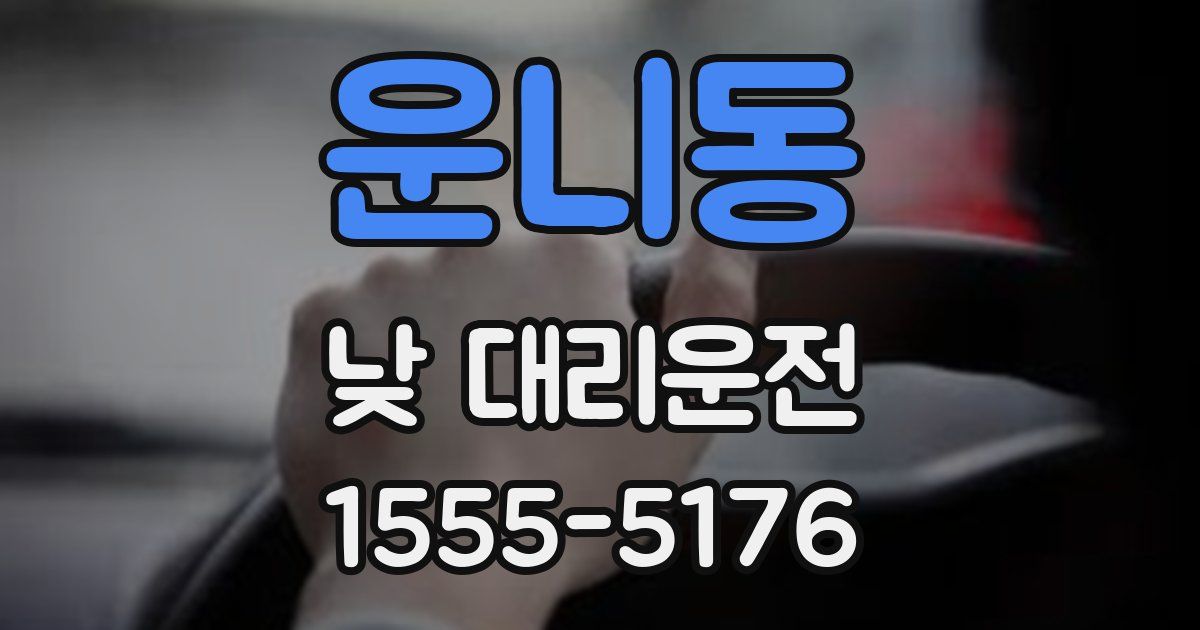 운니동 낮 대리운전