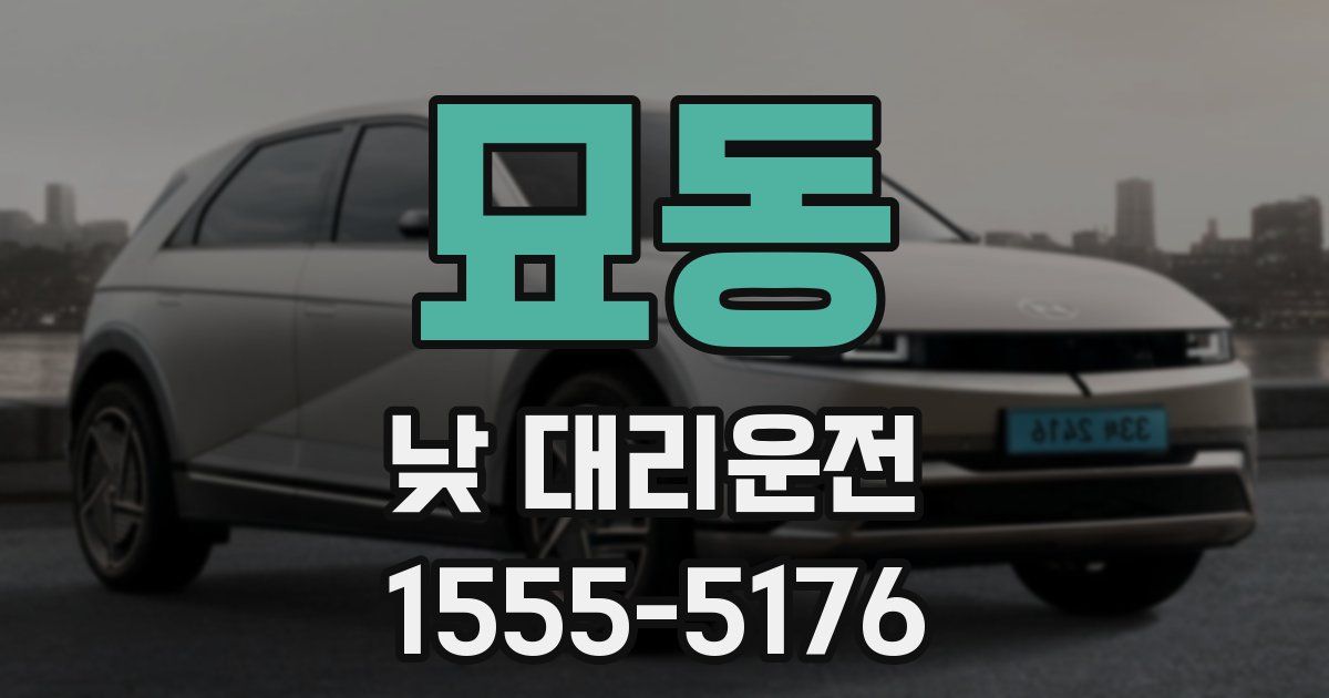 묘동 낮 대리운전