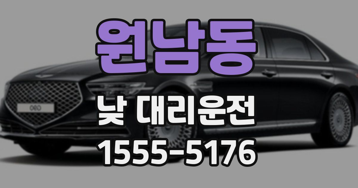 원남동 낮 대리운전