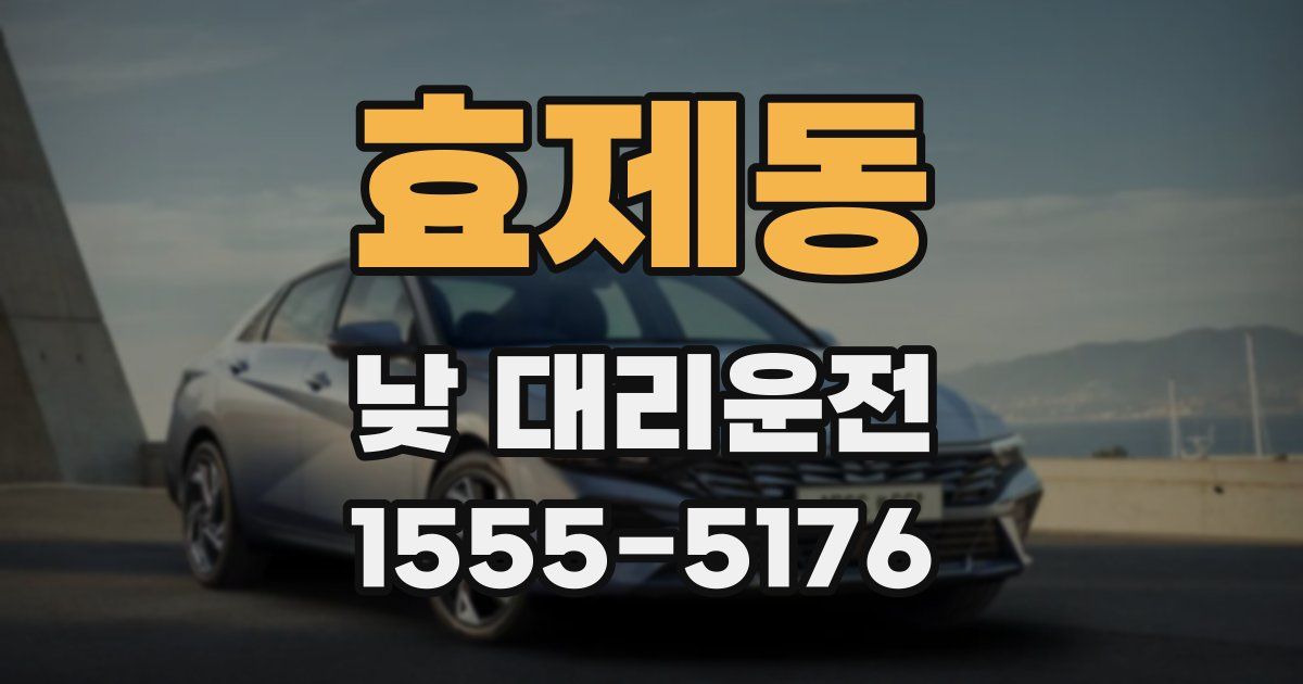효제동 낮 대리운전