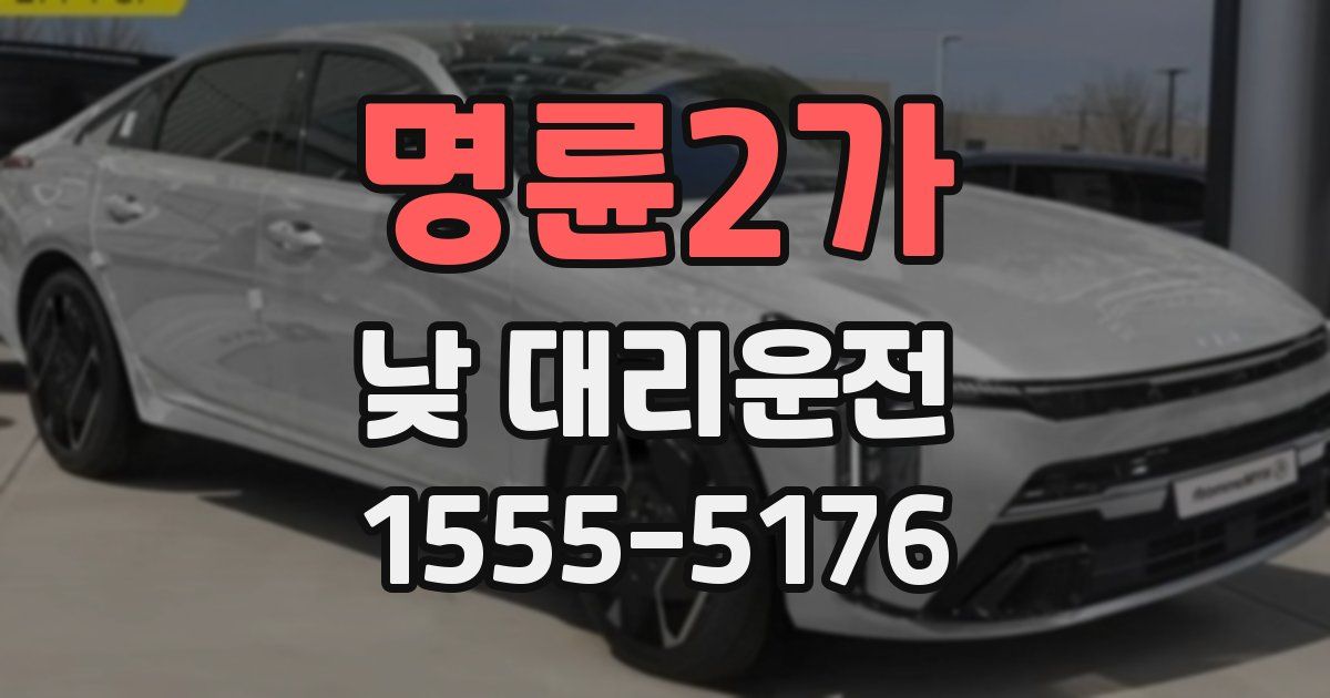 명륜2가 낮 대리운전