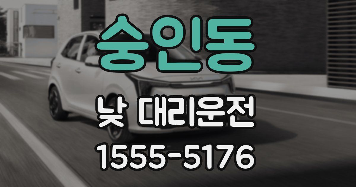 숭인동 낮 대리운전