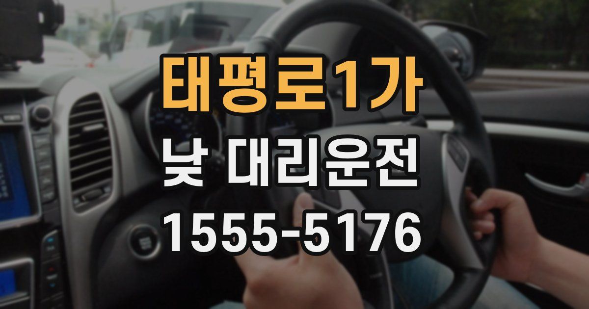 태평로1가 낮 대리운전