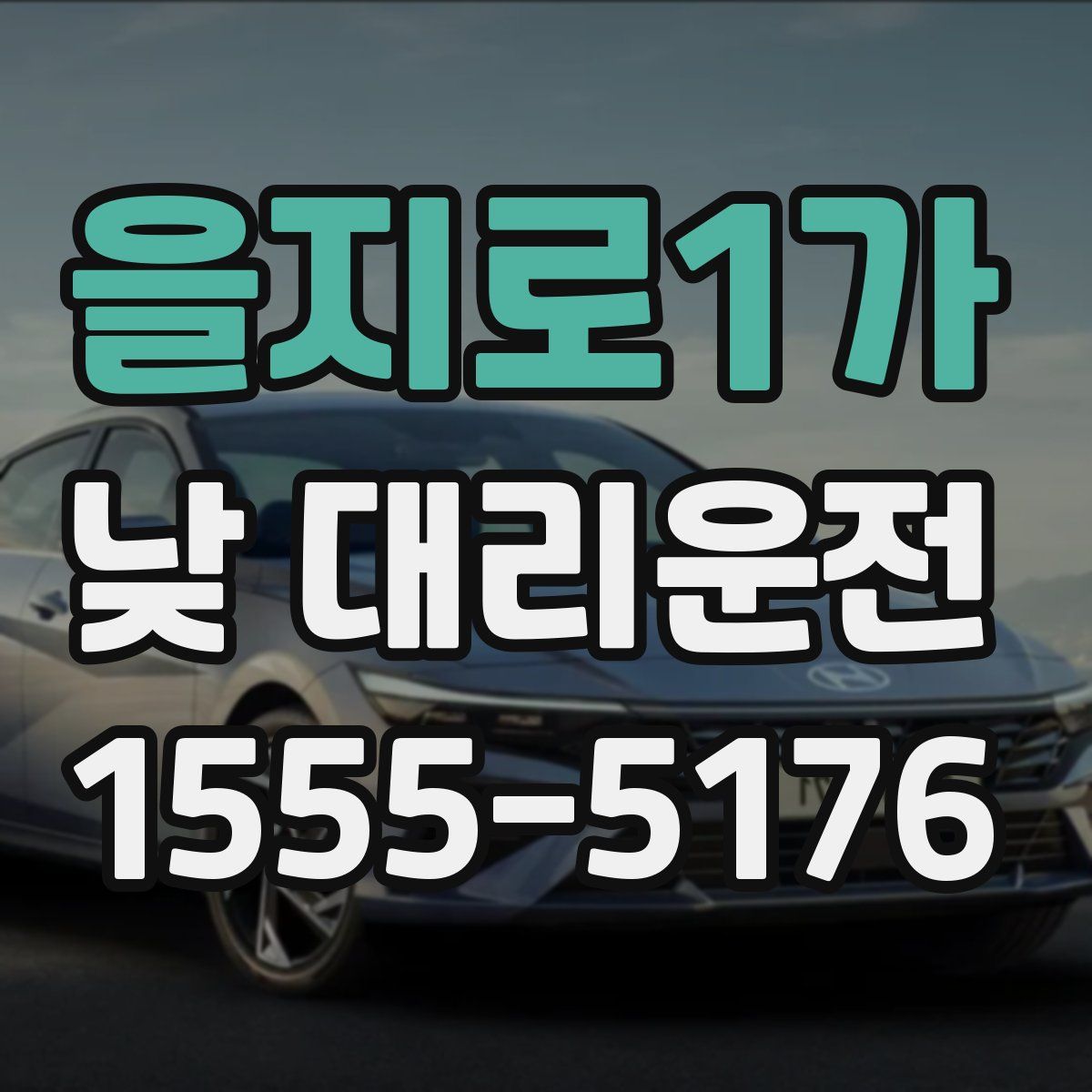 을지로1가 낮 대리운전