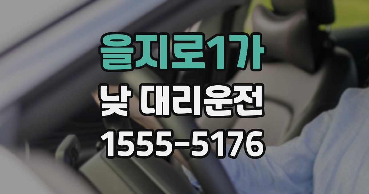 을지로1가 낮 대리운전