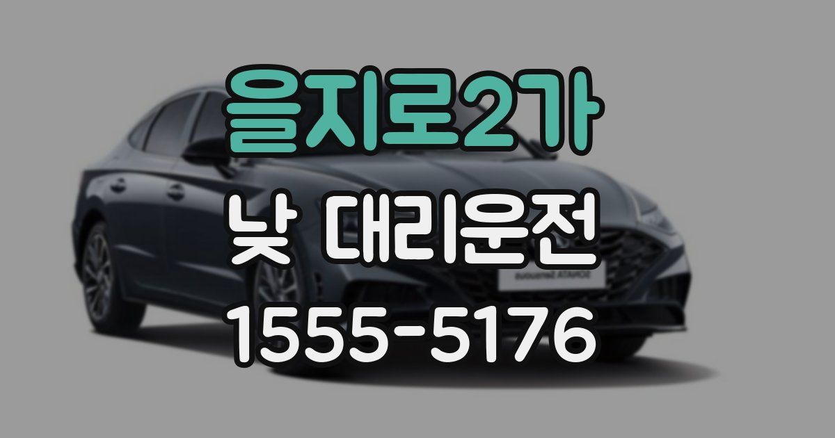 을지로2가 낮 대리운전