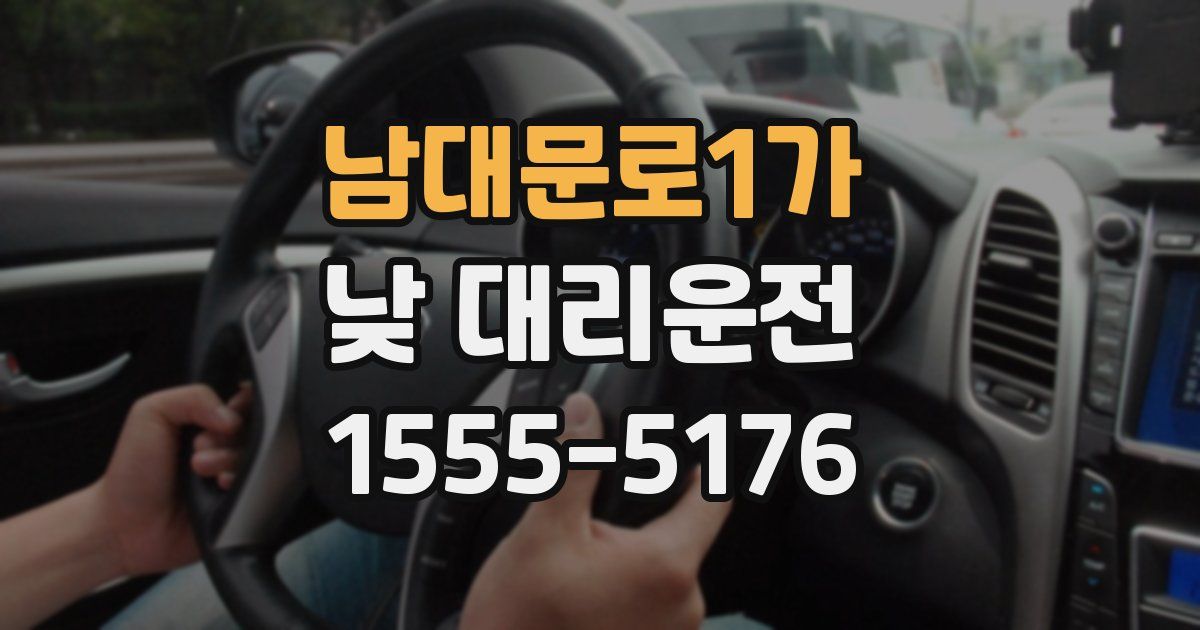 남대문로1가 낮 대리운전