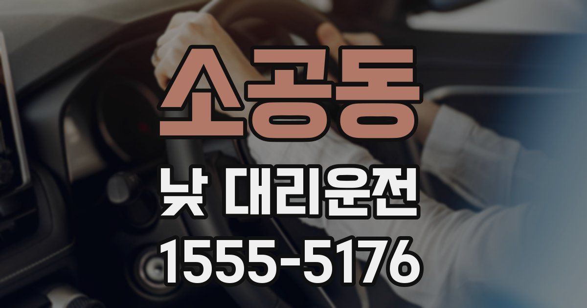 소공동 낮 대리운전