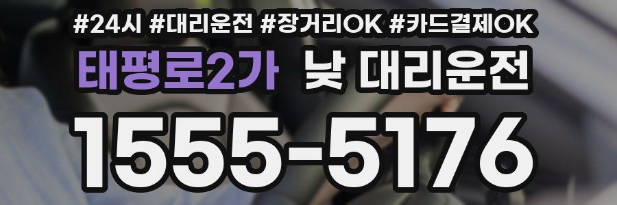 태평로2가 낮 대리운전