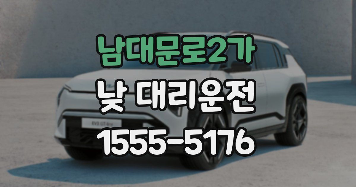 남대문로2가 낮 대리운전