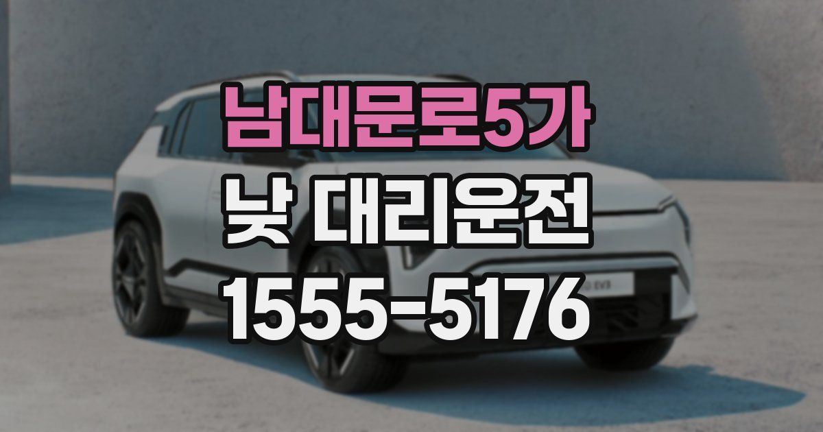 남대문로5가 낮 대리운전