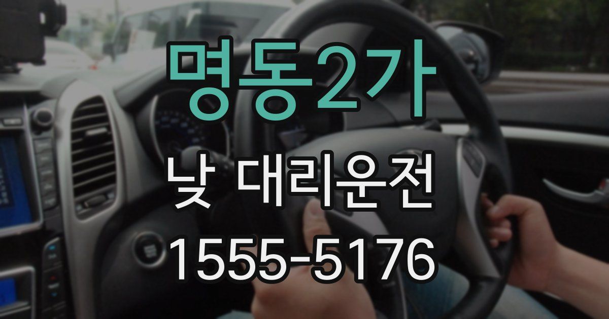 명동2가 낮 대리운전