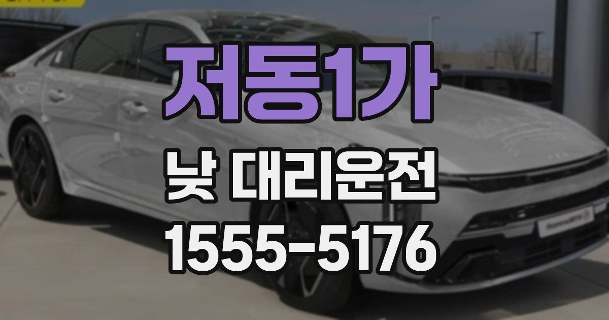 저동1가 낮 대리운전