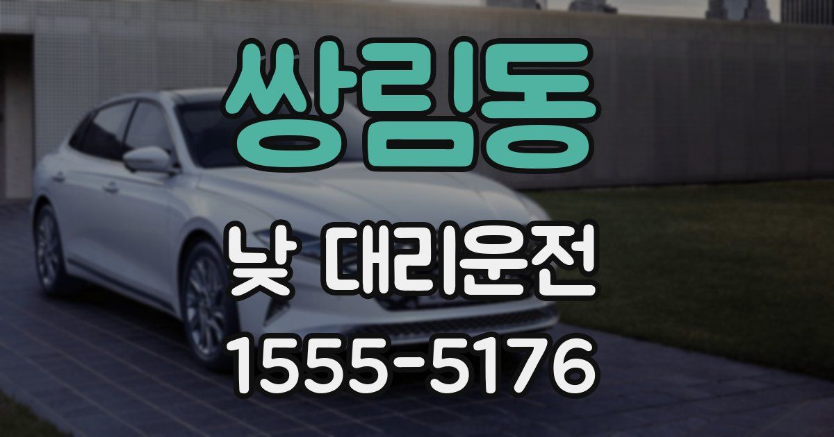 쌍림동 낮 대리운전