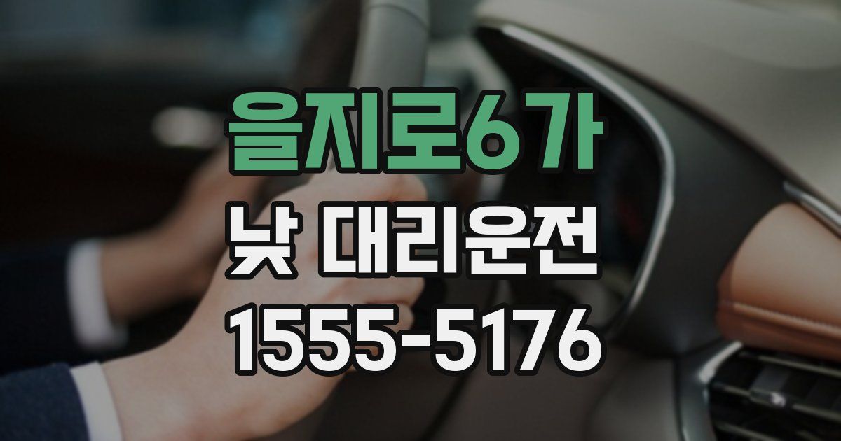 을지로6가 낮 대리운전