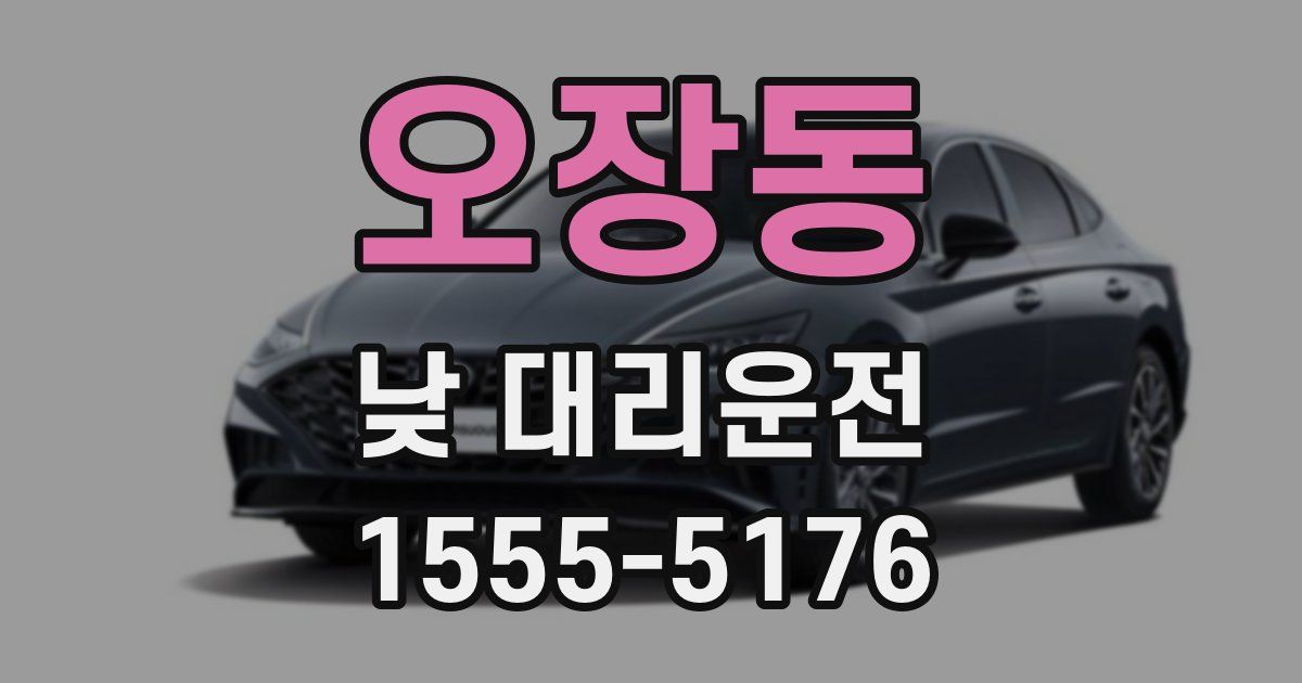 오장동 낮 대리운전