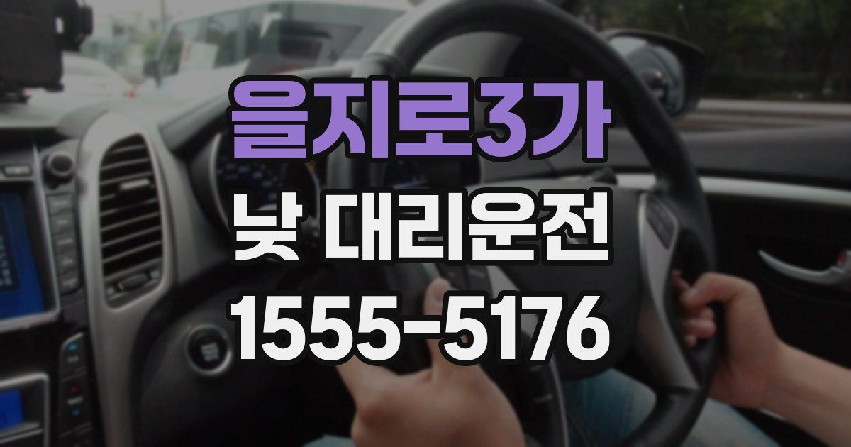 을지로3가 낮 대리운전