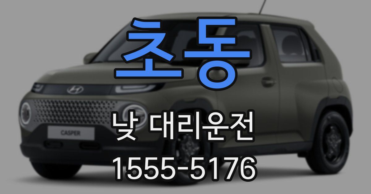 초동 낮 대리운전