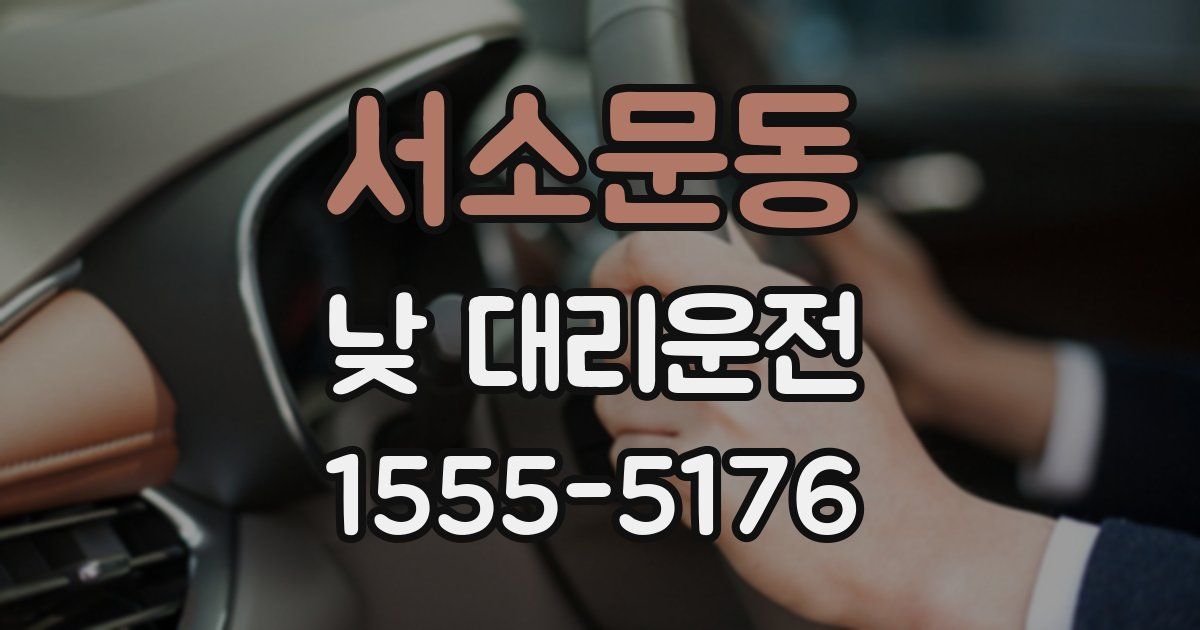 서소문동 낮 대리운전