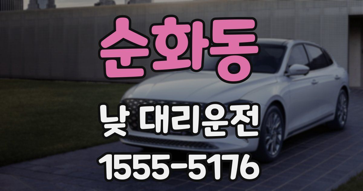 순화동 낮 대리운전
