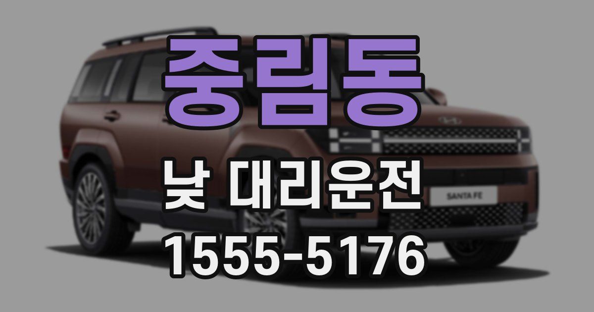 중림동 낮 대리운전