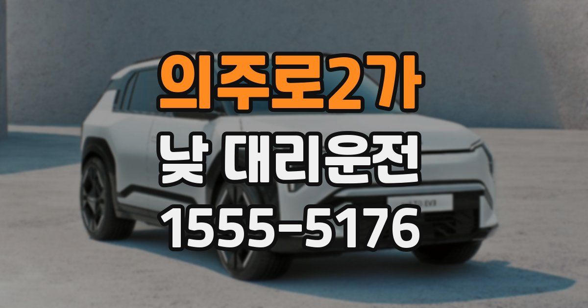 의주로2가 낮 대리운전