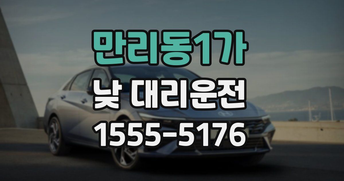 만리동1가 낮 대리운전