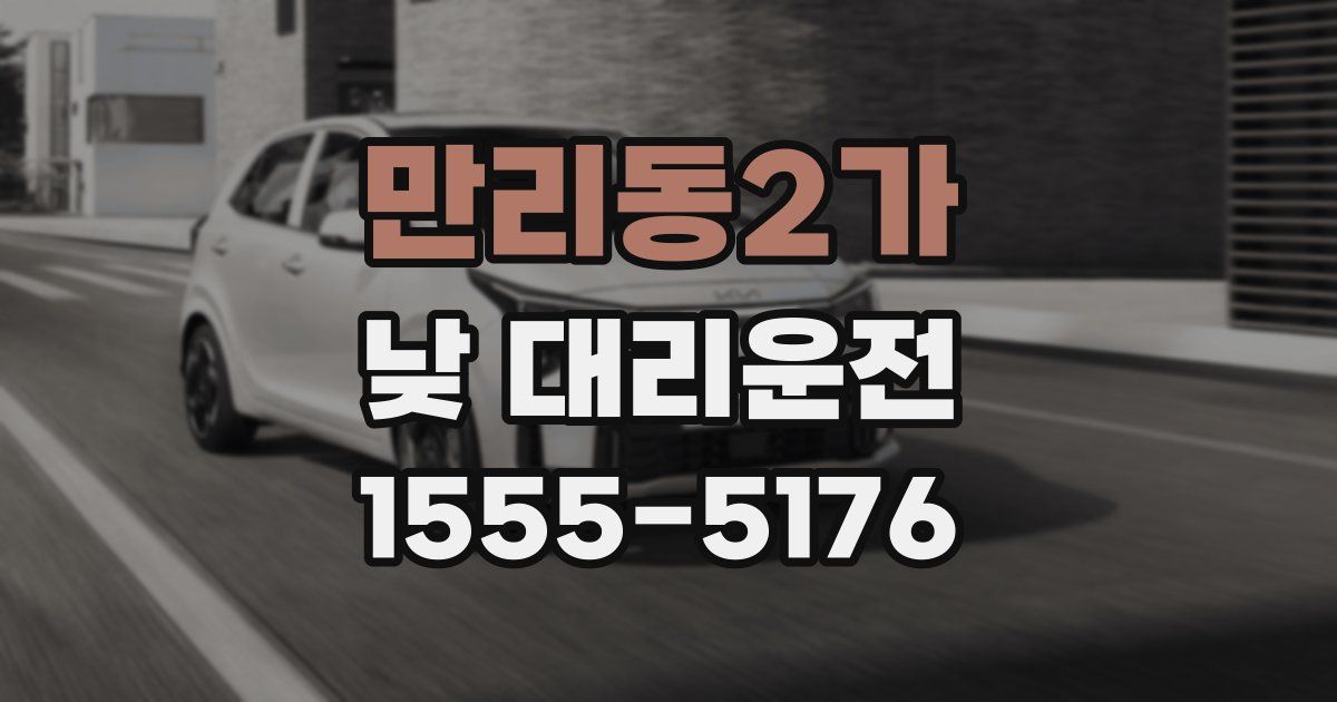 만리동2가 낮 대리운전