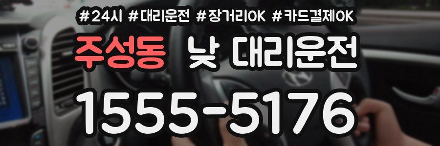 주성동 낮 대리운전
