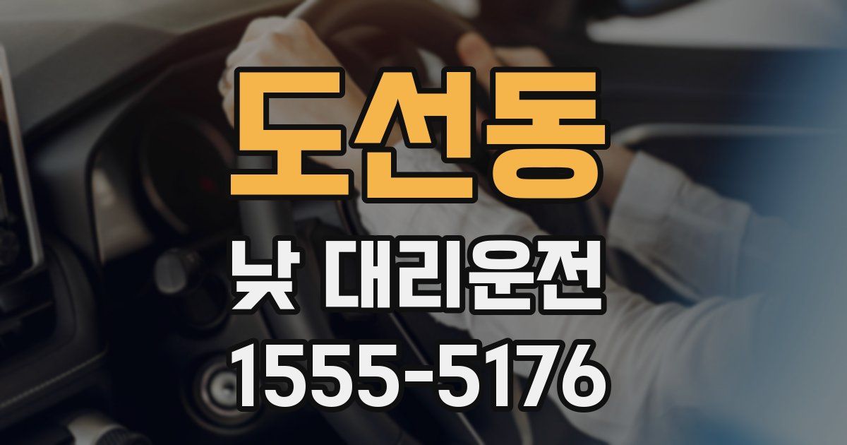 도선동 낮 대리운전